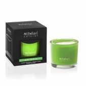 Ароматическая свеча Зеленый Инжир и Ирис -  Green fig & iris - Millefiori Milano